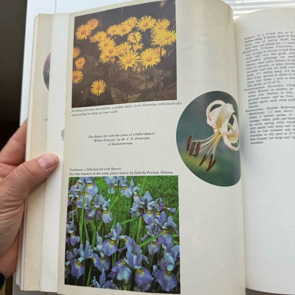 Vintage Chatelaine’s Gardening Book Hardcover 1970 - Picture 5 of 8
